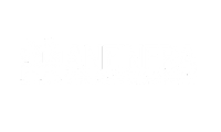ANEINFRA